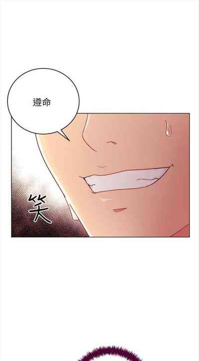 第475頁圖