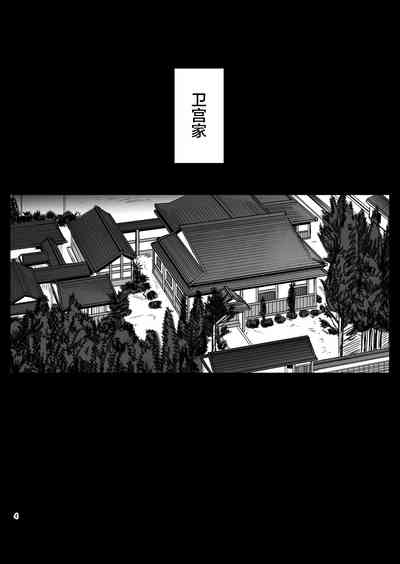 第3页图