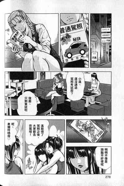 第279頁圖
