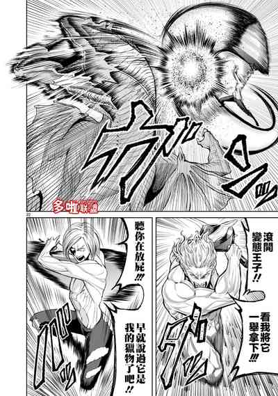 第223頁圖