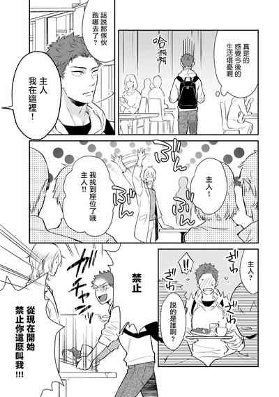 第19页图