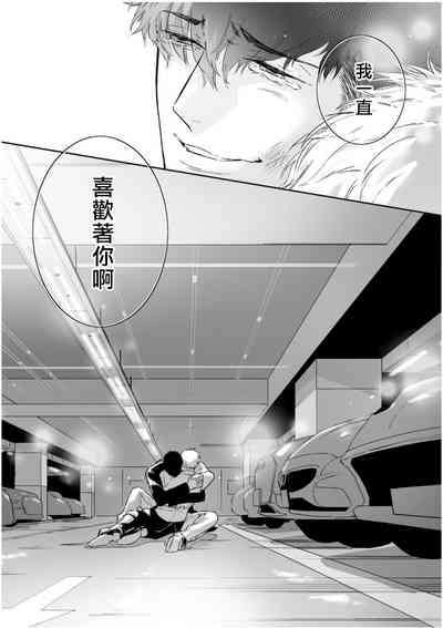 第219頁圖