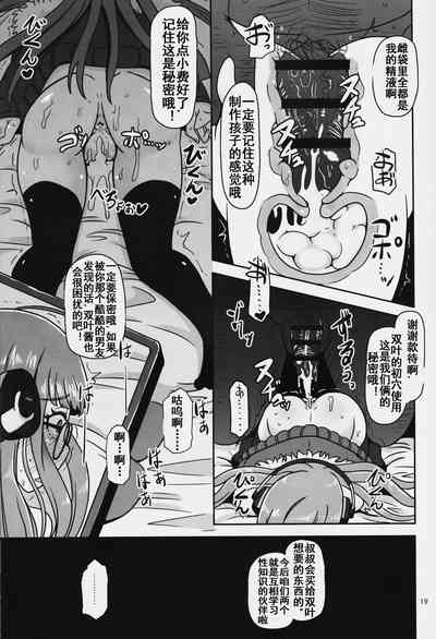 第19頁圖