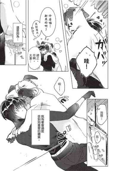 第43页图