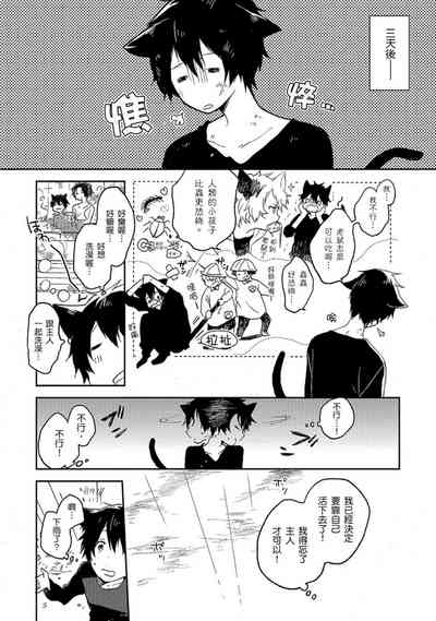 第147頁圖