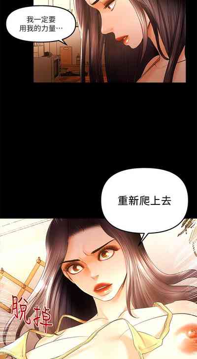 第367頁圖