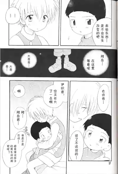 第27页图
