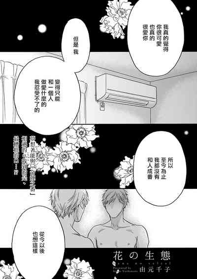 第31頁圖