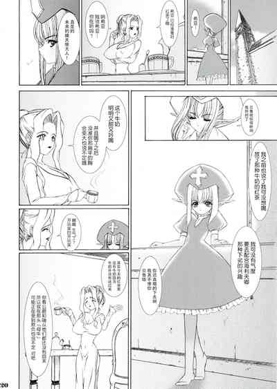 第19页图