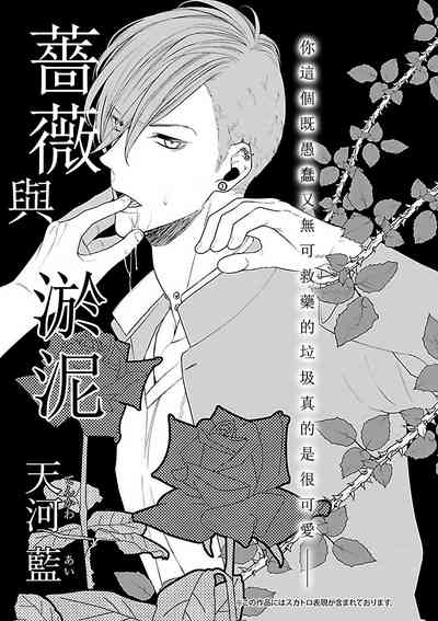第31頁圖