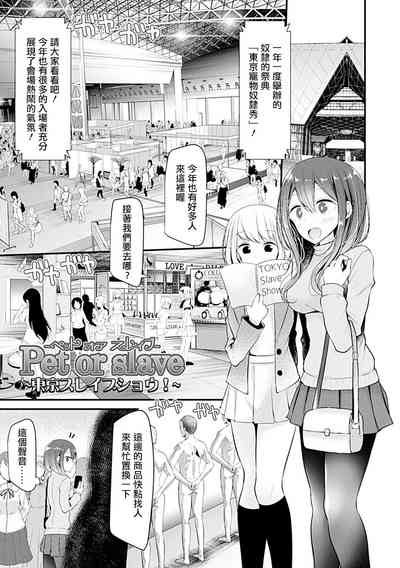 第131頁圖