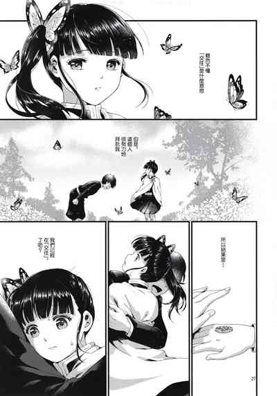 第27頁圖