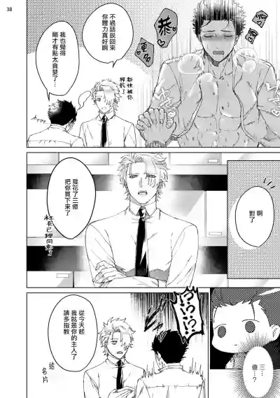 第39頁圖