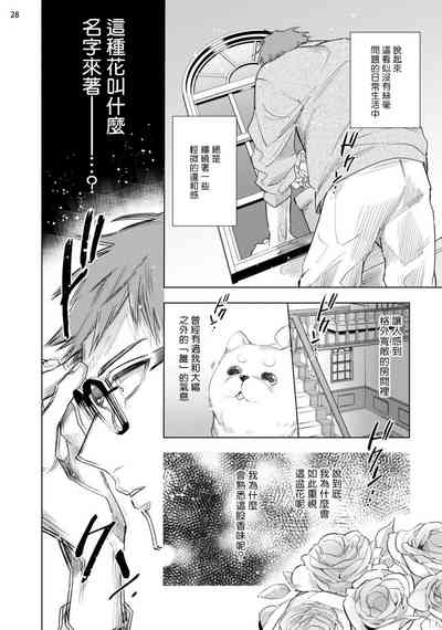 第215頁圖