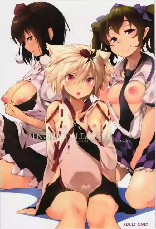 TENGU COLLECTION 封面 - HaSM.cc