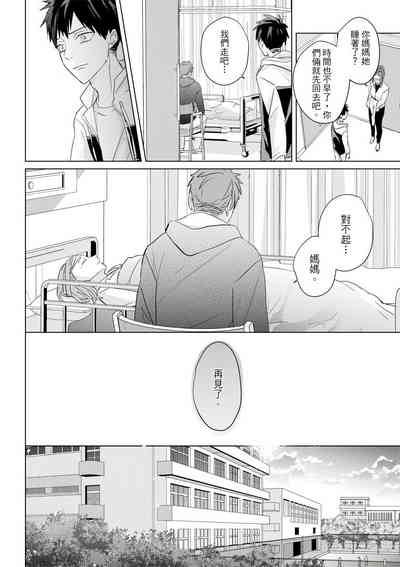 第531頁圖