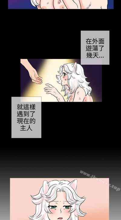 第119頁圖