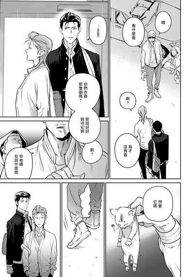 第19页图