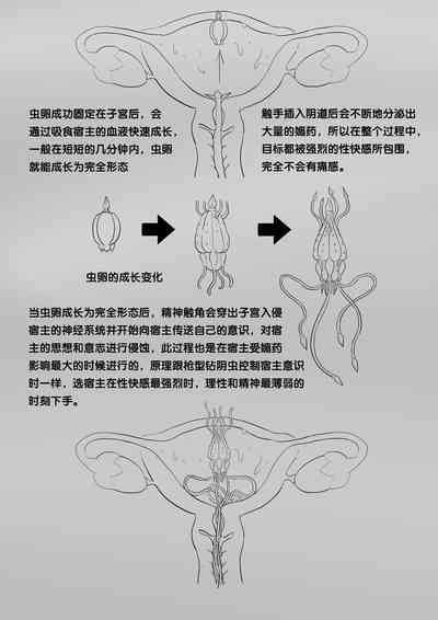 第295页图