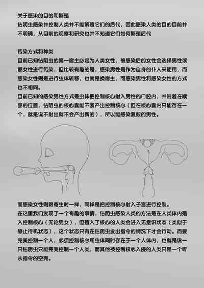 第307頁圖
