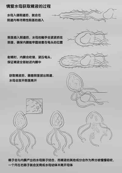 第315頁圖