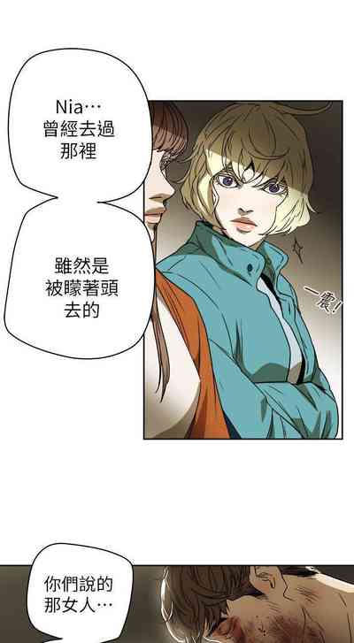 第419頁圖