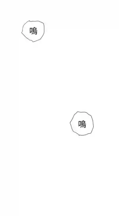 第155頁圖