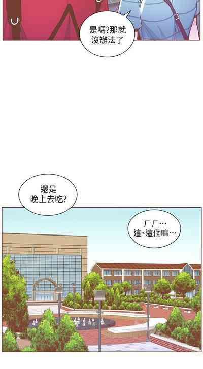 第243頁圖
