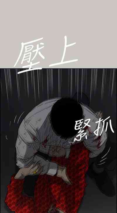 第295頁圖