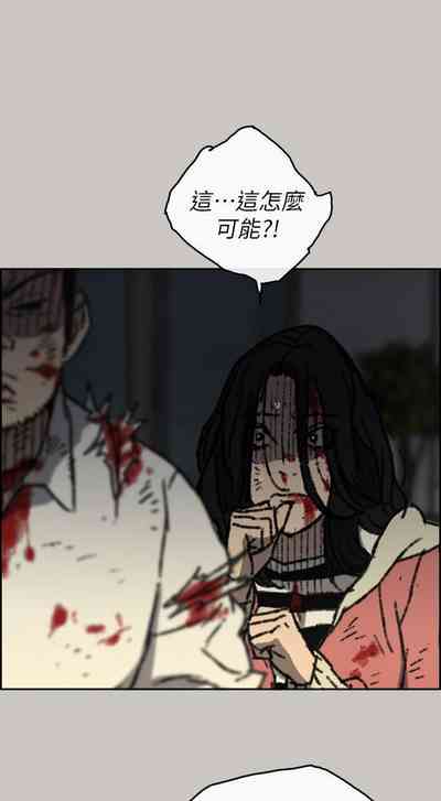 第335頁圖