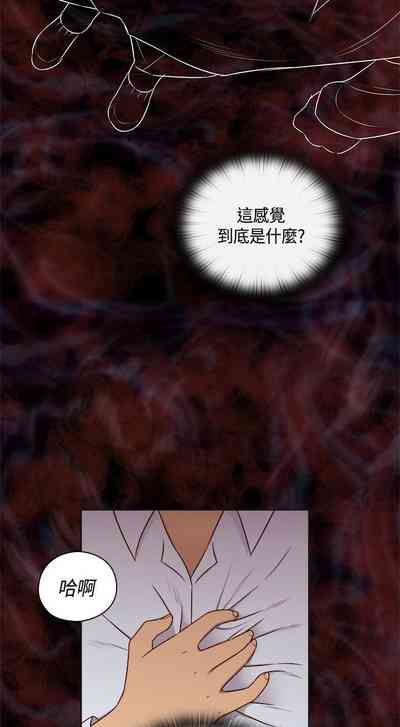 第271頁圖