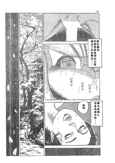 第147頁圖
