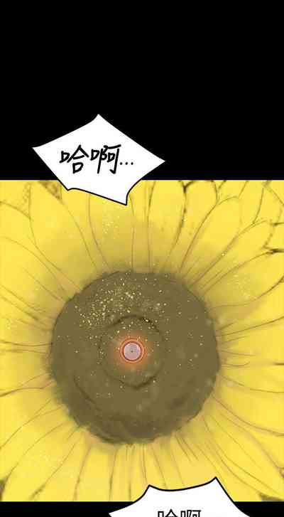 第575頁圖