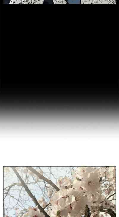 第35頁圖