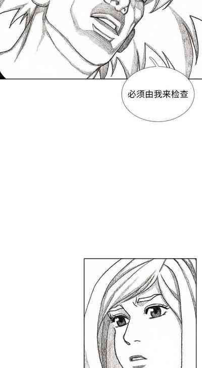 第331頁圖