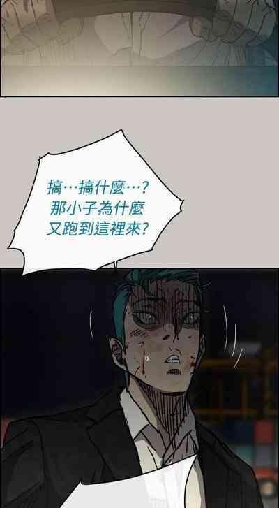 第239頁圖