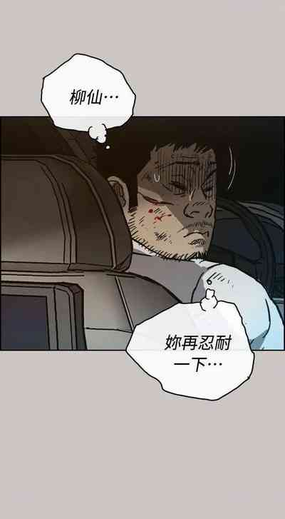 第243頁圖