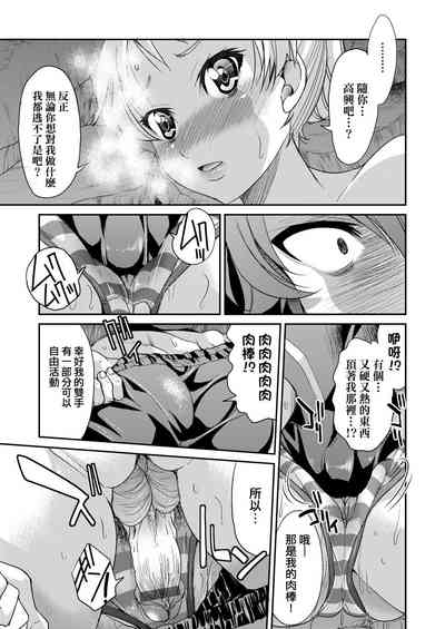 第223頁圖