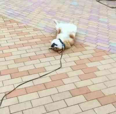 第35页图
