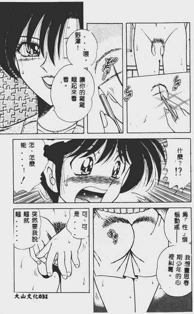 第31頁圖