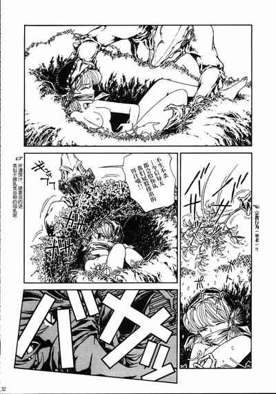 第31頁圖