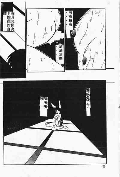 第163頁圖