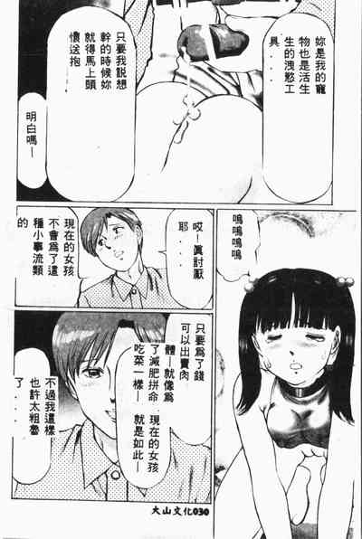 第31頁圖