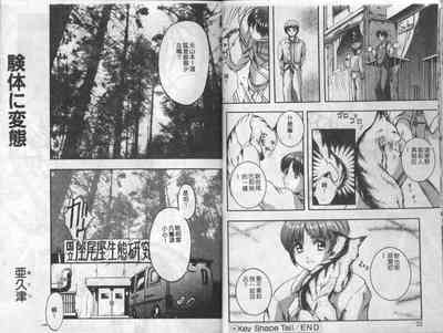 第11頁圖