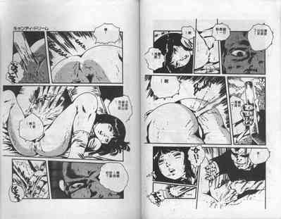 第87頁圖