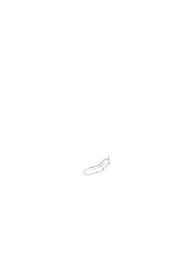 第231頁圖
