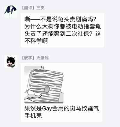 第219頁圖