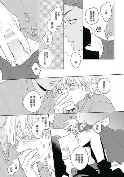 第31頁圖