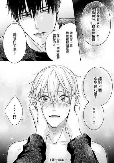 第31頁圖