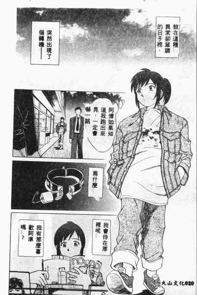 第19頁圖